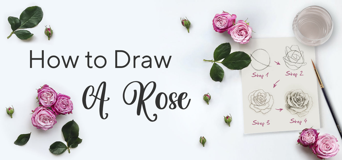 how to draw roses step by step with pencil