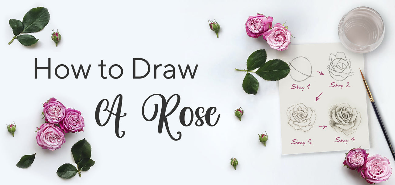 How to draw rose step by step: Realistic rose drawing easy with pencil